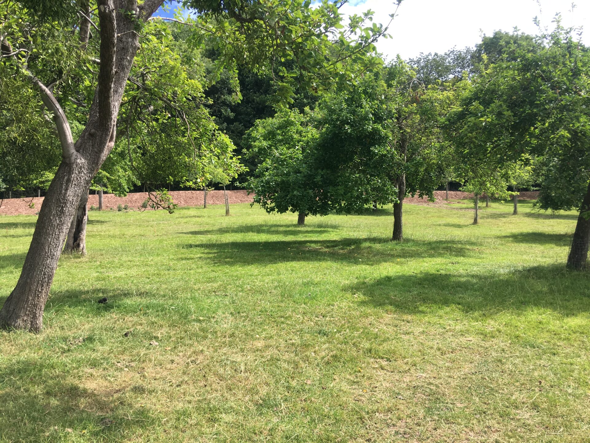 Stoke Prior, Herefordshire