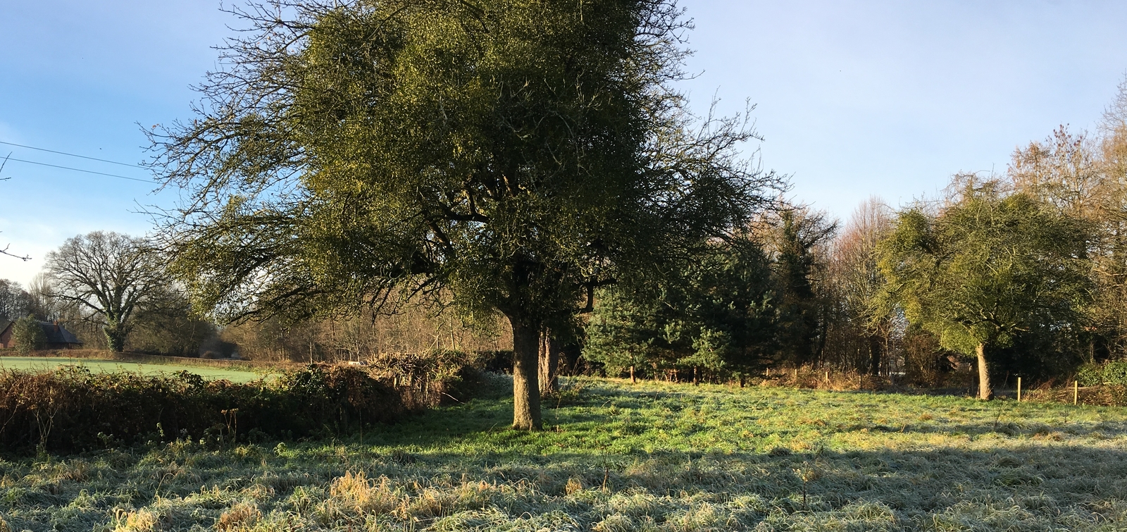 Redgate House Journal No. 2