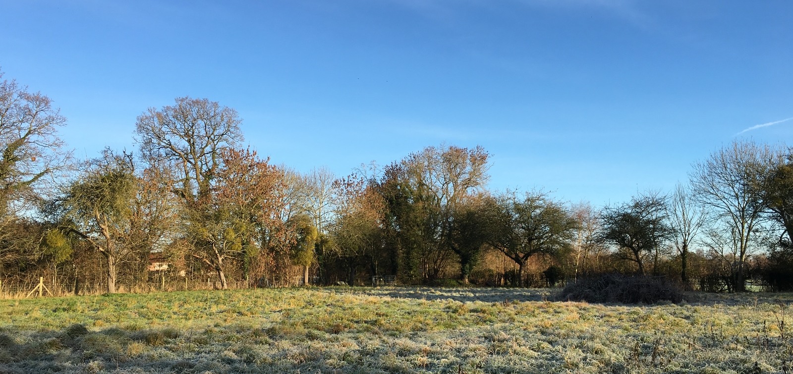 Redgate House – No.4