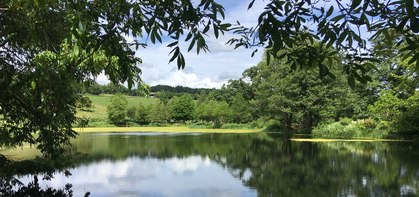 Herefordshire Phosphate Moratorium
