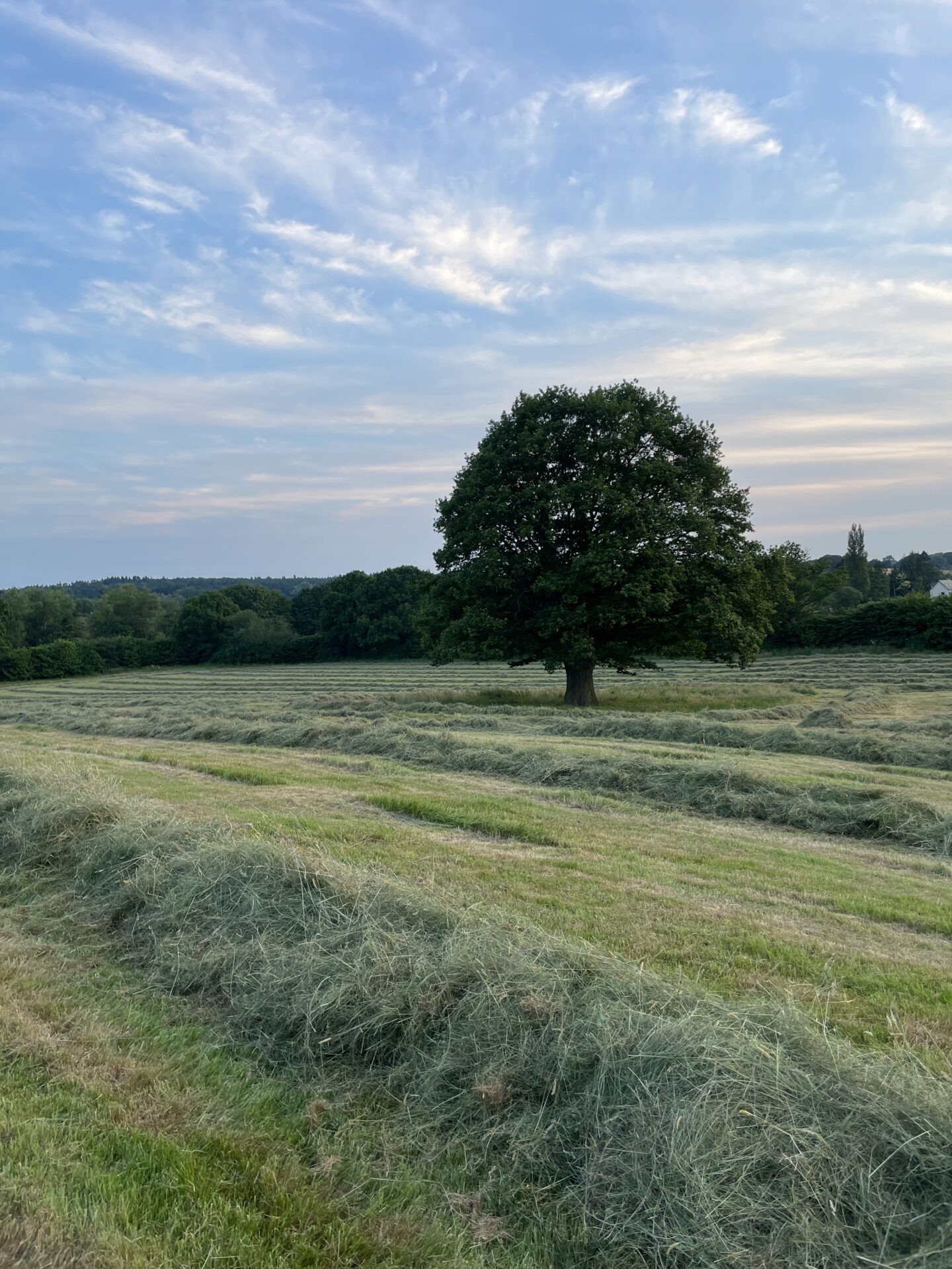 New House Farm – Coming Soon