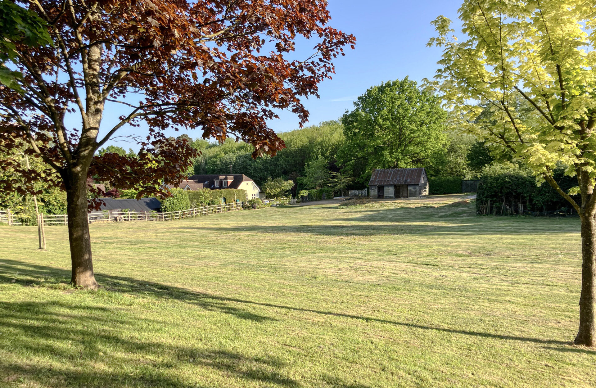 Pankhurst Wood, Kent